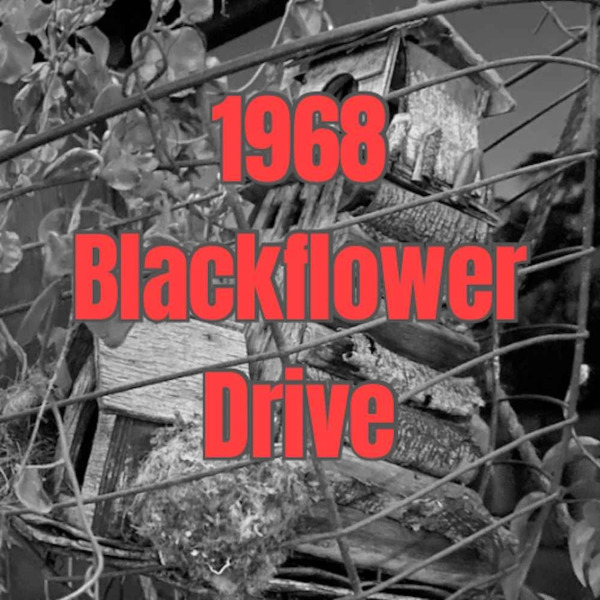 1968_blackflower_drive_logo_600x600.jpg