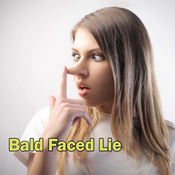 bald_faced_lie_logo_600x600.jpg