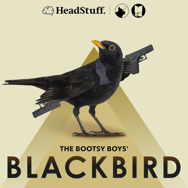 bootsy_boys_blackbird_logo_600x600.jpg