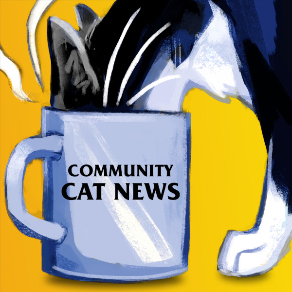 community_cat_news_logo_600x600.jpg
