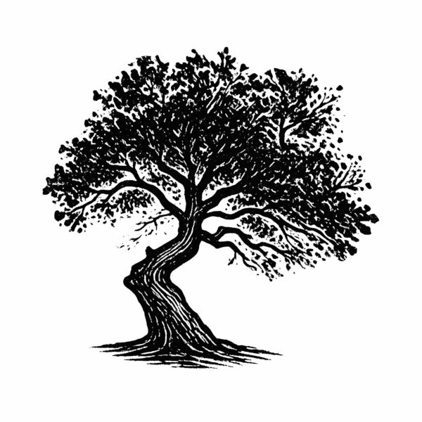 crooked_tree_radio_logo_600x600.jpg