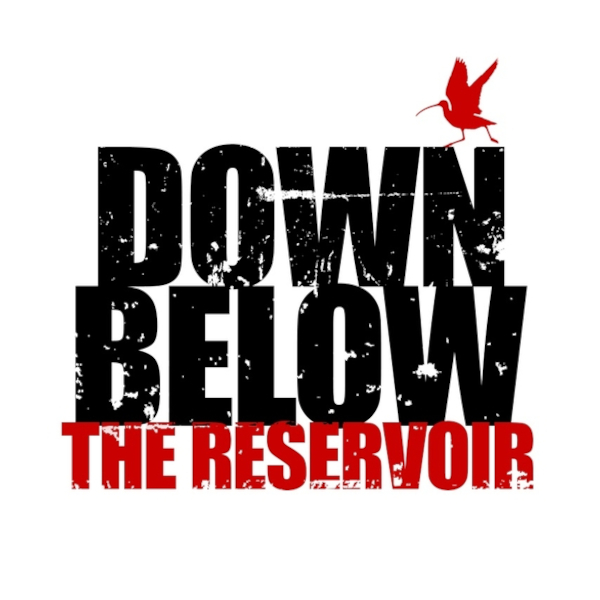 down_below_the_reservoir_logo_600x600.jpg