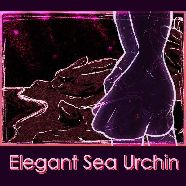 elegant_sea_urchin_logo_600x600.jpg