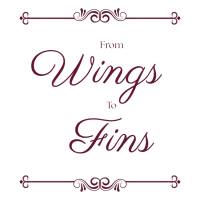 from_wings_to_fins_logo_600x600.jpg