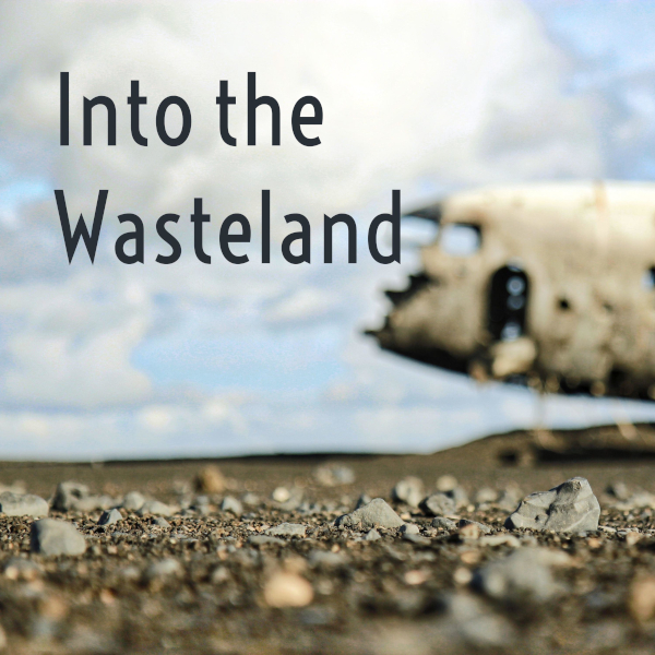into_the_wasteland_logo_600x600.jpg