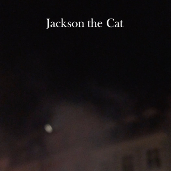 jackson_the_cat_logo_600x600.jpg