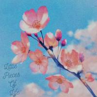 little_pieces_of_life_logo_600x600.jpg