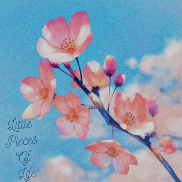 little_pieces_of_life_logo_600x600.jpg