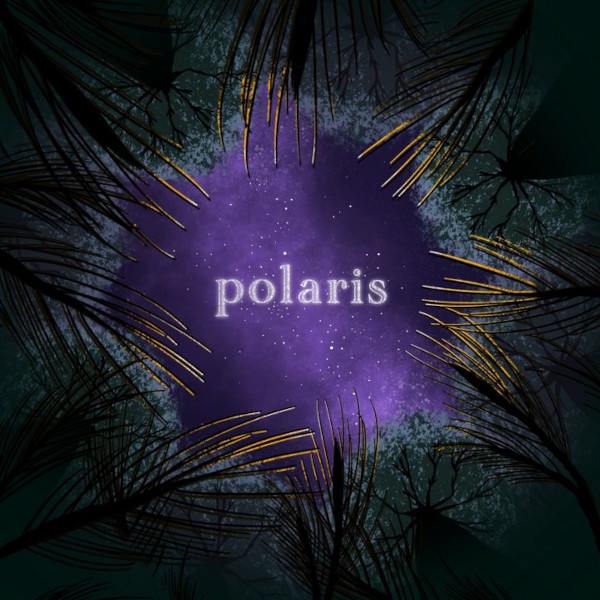 polaris_logo_600x600.jpg