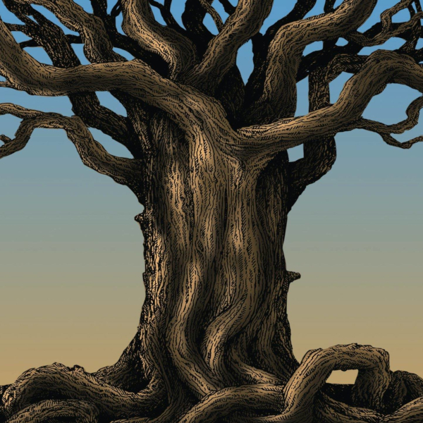 protectors_of_the_wood_logo_600x600.jpg