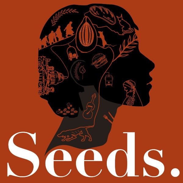 seeds_no_stone_theatre_logo_600x600.jpg