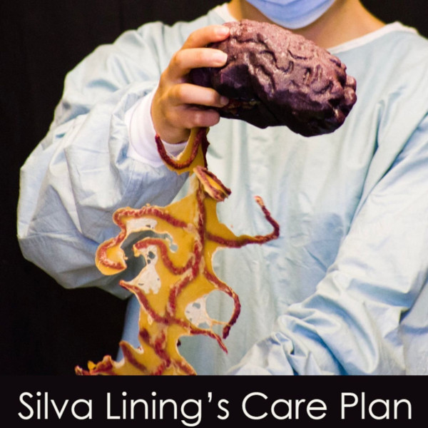 silva_linings_care_plan_logo_600x600.jpg