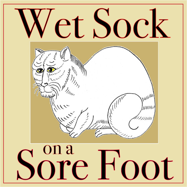 wet_sock_on_a_sore_foot_logo_600x600.jpg