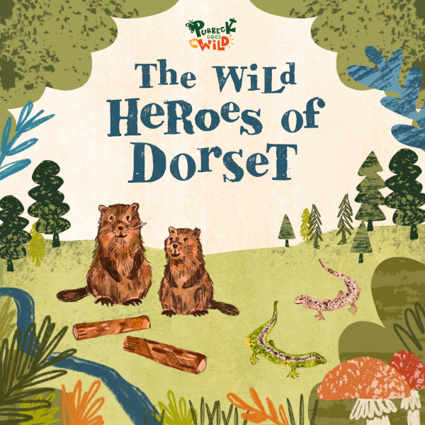 wild_heroes_of_dorset_logo_600x600.jpg