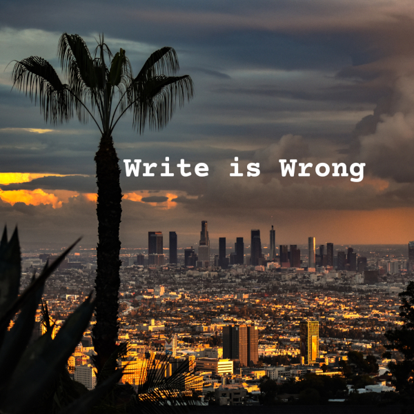 write_is_wrong_logo_600x600.jpg